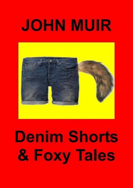 Denim Shorts & Foxy Tales (eBook, ePUB)