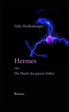 Hermes oder Die Macht der grauen Zellen (eBook, ePUB) - Heidenberger, Felix
