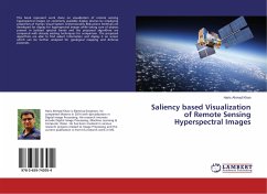 Saliency based Visualization of Remote Sensing Hyperspectral Images