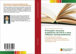 Principais recursos produtivos do Pará e seus reflexos socioeconômicos - Monteiro da Silva, Marcio Luiz Monteiro