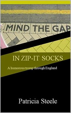 Mind the Gap in Zip-it Socks (eBook, ePUB) - Steele, Patricia