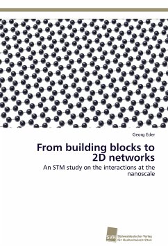 From building blocks to 2D networks - Eder, Georg