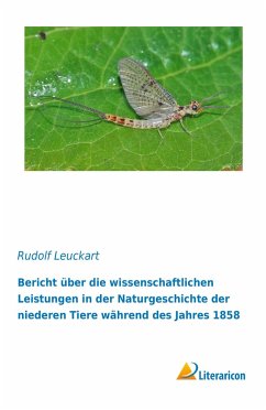 Bericht über die wissenschaftlichen Leistungen in der Naturgeschichte der niederen Tiere während des Jahres 1858 - Leuckart, Rudolf