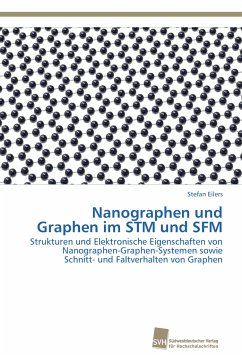 Nanographen und Graphen im STM und SFM - Eilers, Stefan