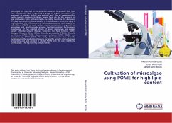 Cultivation of microalgae using POME for high lipid content