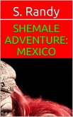 Shemale Adventure: Mexico (eBook, ePUB)