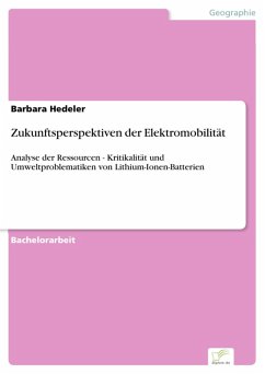 Zukunftsperspektiven der Elektromobilität (eBook, PDF) - Hedeler, Barbara