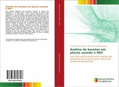 Análise de tensões em placas usando o MEC - Silveira Campos, Lucas;Albuquerque, Eder Lima de