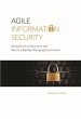 Agile Information Security (eBook, ePUB) - Bild 1