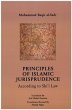 Principles of Islamic Jurisprudence... - Bild 1