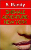 Shemale Adventure: New York (eBook, ePUB)