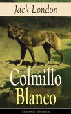 Colmillo Blanco (eBook, ePUB)