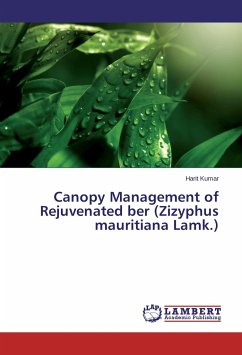 Canopy Management of Rejuvenated ber (Zizyphus mauritiana Lamk.) - Kumar, Harit