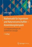 Anwendungsbeispiele / Mathematik für Ingenieure und Naturwissenschaftler