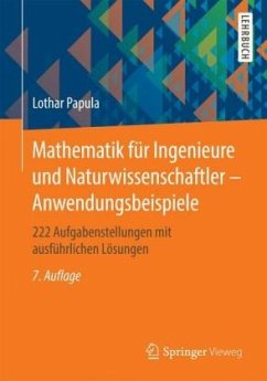 Anwendungsbeispiele / Mathematik für Ingenieure und Naturwissenschaftler - Papula, Lothar