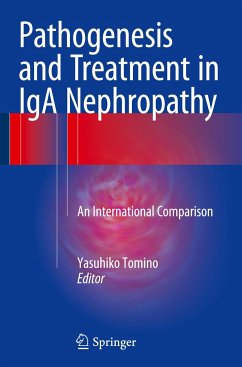Pathogenesis and Treatment in IgA Nephropathy