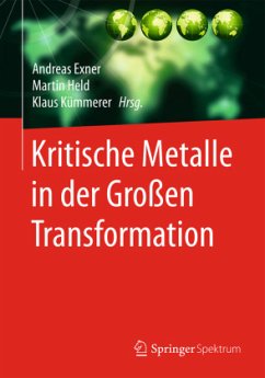 Cover Kritische Metalle in der Großen Transformation