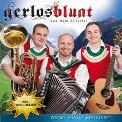 Cover Wenn Musik Erklingt