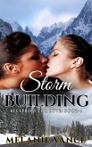 Storm Building (Blueprint For Love, #4) (eBook, ePUB)