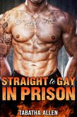 Straight to Gay in Prison (eBook, ePUB) Straight to Gay in Prison (eBook, ePUB)
