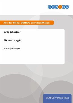 Kernenergie - Schneider, Anja