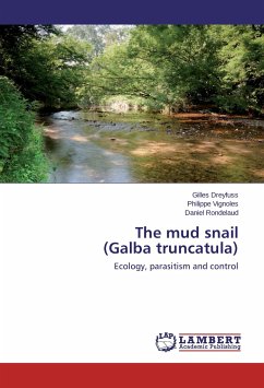 The mud snail (Galba truncatula)