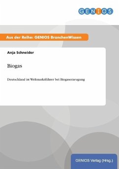 Biogas - Schneider, Anja
