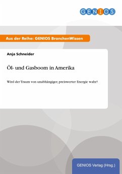 Öl- und Gasboom in Amerika - Schneider, Anja