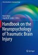 Handbook on the Neuropsychology of... - Bild 1