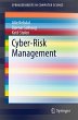Cyber-Risk Management - Bild 1