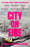 City on Fire (eBook, ePUB)