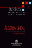 Matemáticas básicas para economistas. Vol. 1. Álgebra lineal (Con notas históricas y contextos económicos) (eBook, PDF)