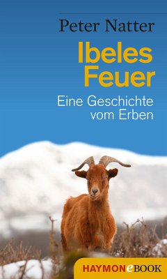 Ibeles Feuer (eBook, ePUB) - Natter, Peter