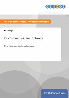 Der Strommarkt im Umbruch - Dengl, G.