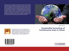 Sustainable harvesting of Frankincense trees in Oman