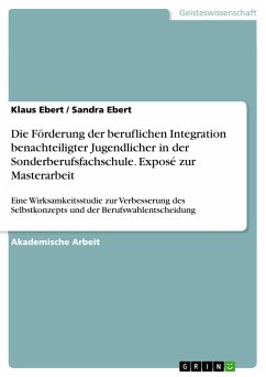 Die Förderung der beruflichen Integration benachteiligter Jugendlicher in der Sonderberufsfachschule. Exposé zur Masterarbeit