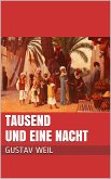 Tausend und eine Nacht (eBook, ePUB)