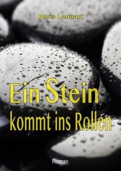 Cover Ein Stein kommt ins Rollen (eBook, ePUB)