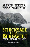 Schicksale der Bergwelt: Vier Bergromane (eBook, ePUB)