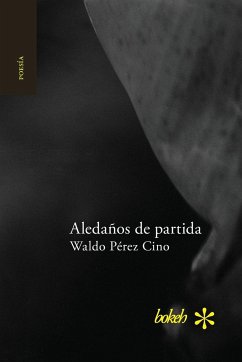 Aledaños de partida - Pérez Cino, Waldo