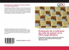 Evaluación de 4 cultivares de caña de azúcar en la CPA Jorge Dimitrov - González Pérez, Jorge Alfredo;Cabrera Peña, René