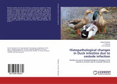 Histopathological changes in Duck intestine due to cestode infection