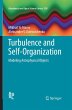 Turbulence and Self-Organization - Bild 1