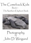 &quote;The Comeback Kids&quote; Book 1, The Northern Elephant Seals