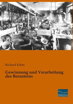Gewinnung und Verarbeitung des Bernsteins - Klebs, Richard