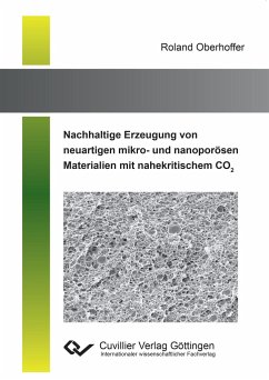 Nachhaltige Erzeugung von neuartigen mikro- und nanoporösen Materialien mit nahekritischem CO2 - Oberhoffer, Roland