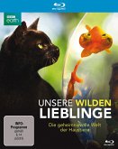 Unsere wilden Lieblinge - Die geheimnisvolle Welt der Haustiere