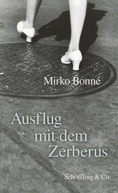 Ausflug mit dem Zerberus (eBook, ePUB) - Bonné, Mirko