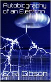 Autobiography of an Electron (eBook, ePUB)