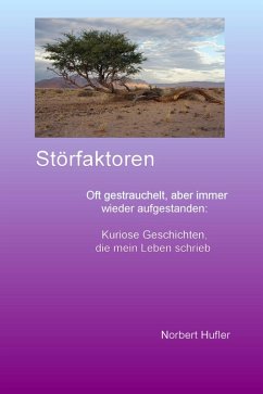 Störfaktoren (eBook, ePUB) - Hufler, Norbert